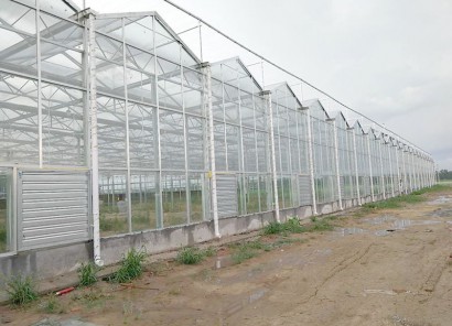 甘肅省玉門(mén)花海鎮(zhèn)2240 平生態(tài)溫室