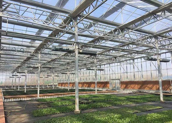 智能文絡溫室內(nèi)部