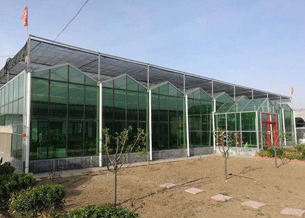 文絡(luò)鍍膜玻璃溫室
