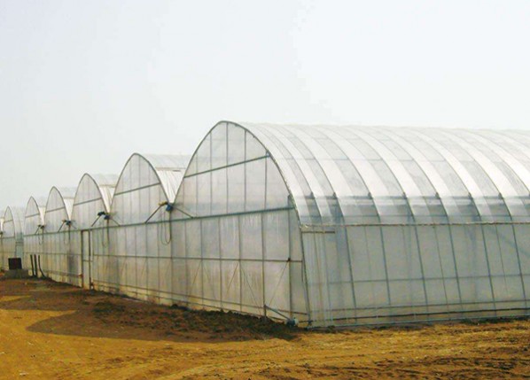 薄膜連棟溫室